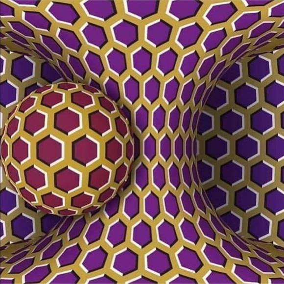 Meet your Posher, Devon - Picture 1 of 1